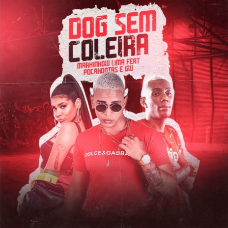 Dog Sem Coleira | Boomplay Music
