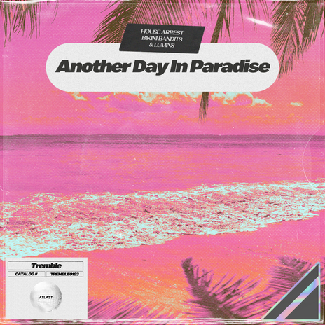 Another Day In Paradise ft. Bikini Bandits & Lumin8 | Boomplay Music