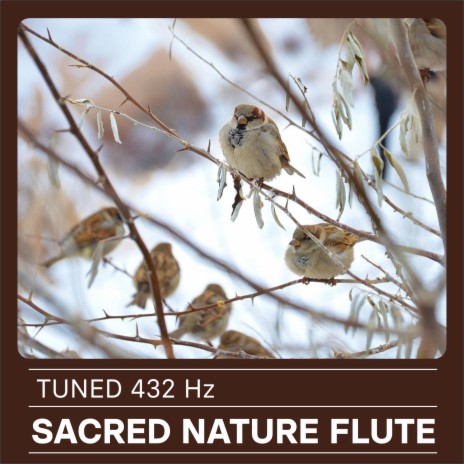 Sacred Nature Flute