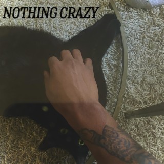 Nothing Crazy