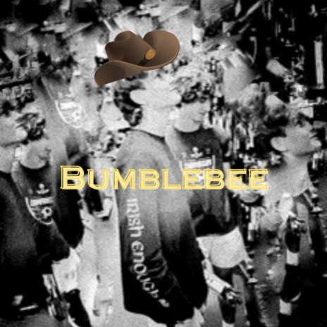 Bumblebee (Country Song) ft. Isaac Ciuk | Boomplay Music