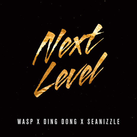 Next Level (Sped Up Version) ft. Ding Dong & Seanizzle | Boomplay Music