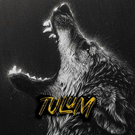 TULUM V2 | Boomplay Music