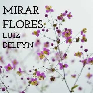 Mirar Flores