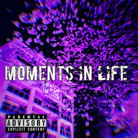 Moments in Life | Boomplay Music