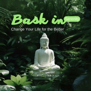 Bask in Serenity: Change Your Life for the Better