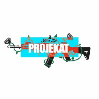 Projekat