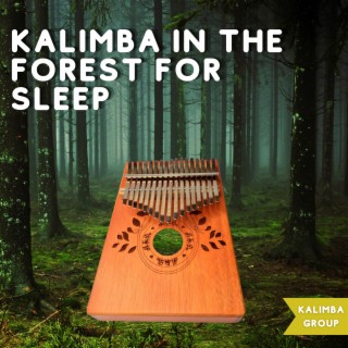 Kalimba in the Forest for Sleep