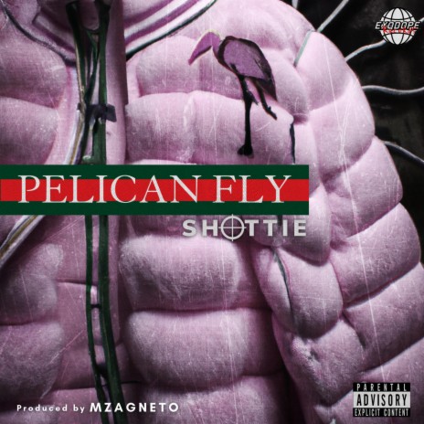 PELICAN FLY | Boomplay Music