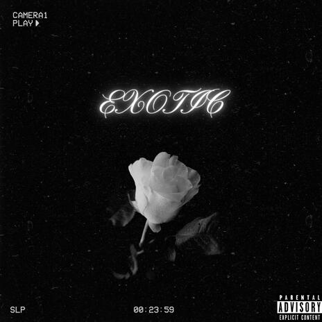 Exotic | Boomplay Music