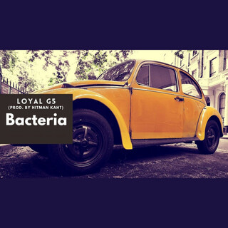 Bacteria