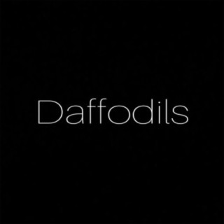 Daffodils lyrics | Boomplay Music