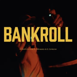 BANKROLL