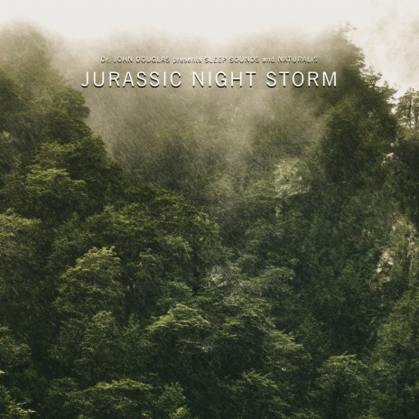 Jurassic Noises of Rain and Thunder ft. Naturalis & Sleep Sounds | Boomplay Music