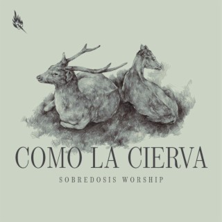 Como La Cierva lyrics | Boomplay Music