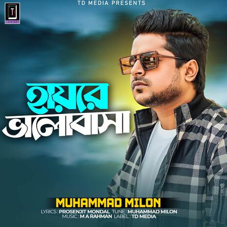 Hayre Bhalobasa | Boomplay Music