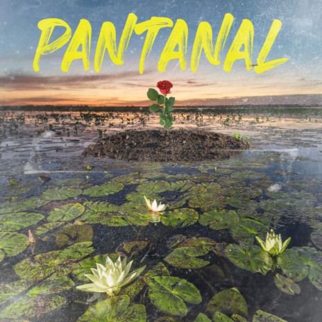 Pantanal | Boomplay Music