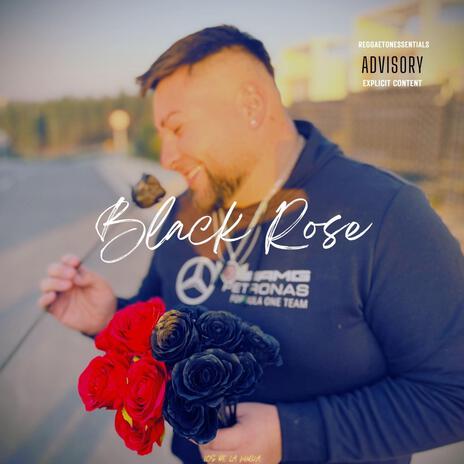 BLACK ROSE | Boomplay Music