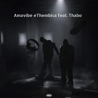 Amavibe eThembisa