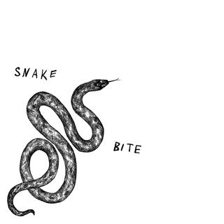 Snakebite