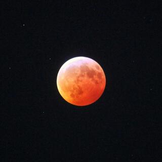 Under a Red Moon