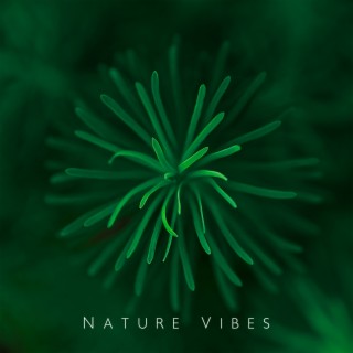 Nature Vibes: Relaxing Sounds for Meditation, Studying or Sleeping & 8D Audio Music