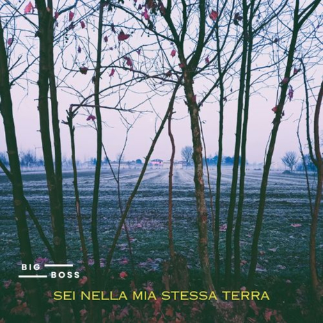 Sei nella mia stessa terra | Boomplay Music