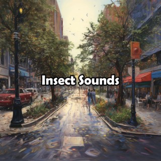 Insect Sounds