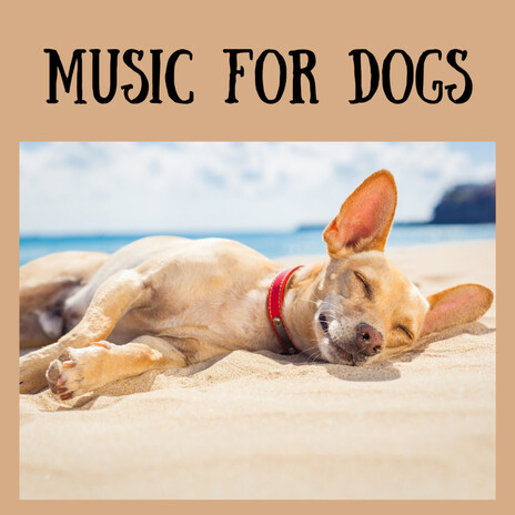 Peaceful Ponderings for Pups ft. Calm Pets Music Academy, Music For Dogs & Music For Dogs Peace | Boomplay Music