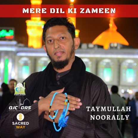 Mere Dil Ki Zameen | Boomplay Music