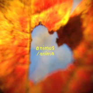 Animus/Anima lyrics | Boomplay Music