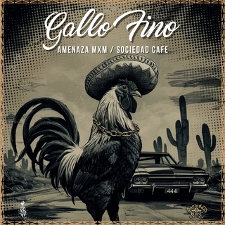 Gallo Fino