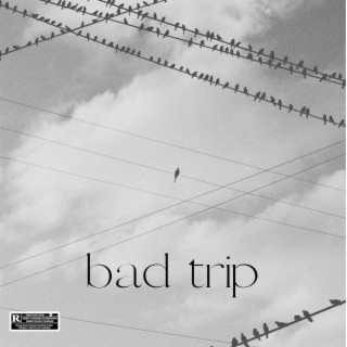 bad trip