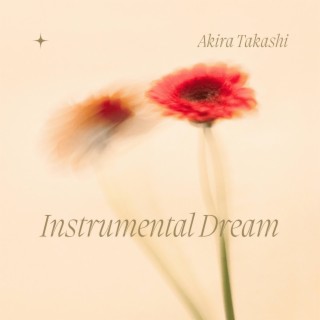 Instrumental Dream