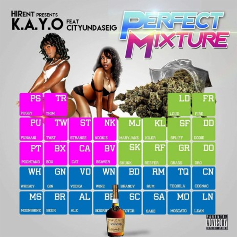 Perfect Mixture (feat. CityUndaSeig) | Boomplay Music