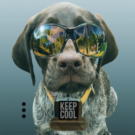 Keep Cool | Boomplay Music