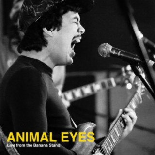 Animal Eyes