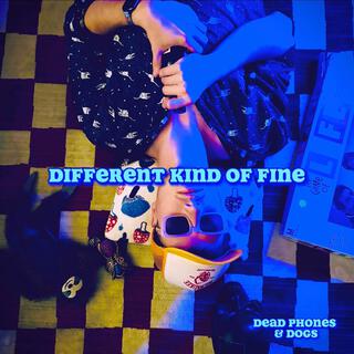 Different Kind of Fine lyrics | Boomplay Music