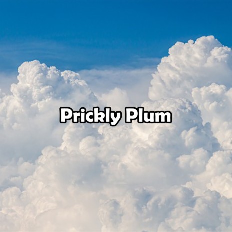 Prickly Plum