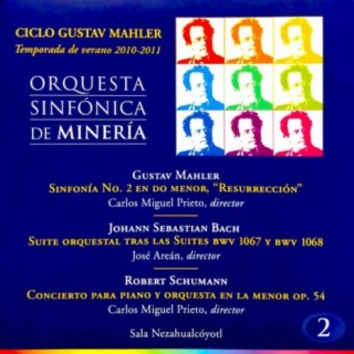 Orquesta Sinfonica de Mineria