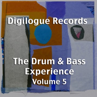 The Drum & Bass Experience, Vol. 5
