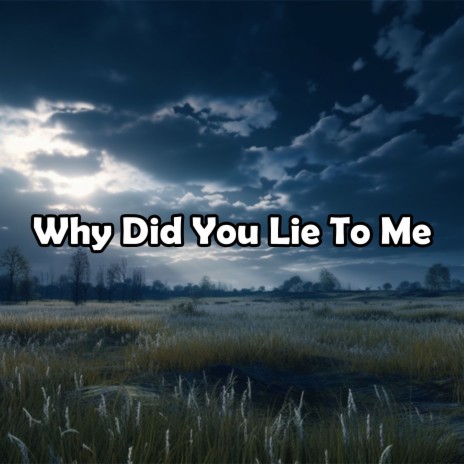 Why Did You Lie To Me | Boomplay Music