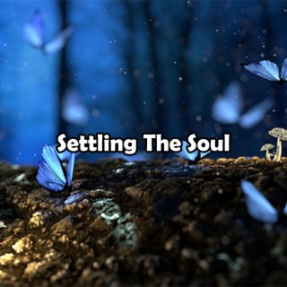 Settling The Soul