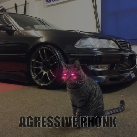 Agressive Phonk | Boomplay Music