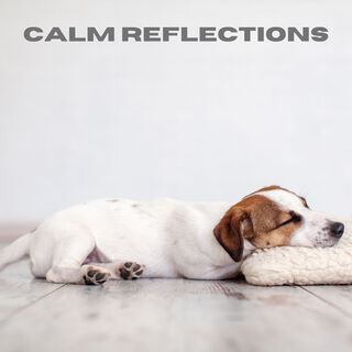 Calm Reflections