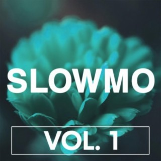 Slowmo, Vol. 1