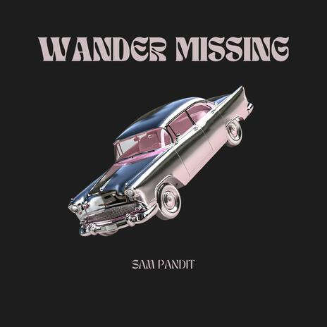 Wander missing | Boomplay Music