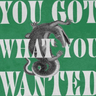 You Got What You Wanted lyrics | Boomplay Music