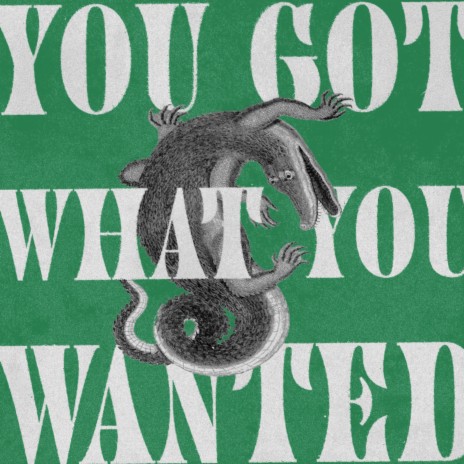 You Got What You Wanted | Boomplay Music