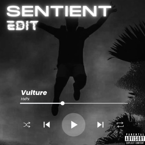 Ashanti (Sentient Edit) ft. HxPx | Boomplay Music